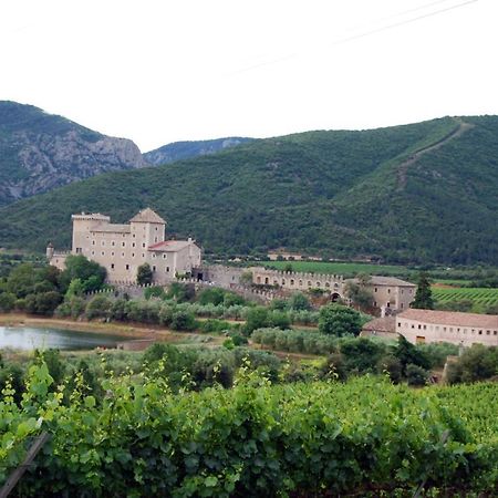 Castell De Riudabella Διαμέρισμα Vimbodi I Poblet Εξωτερικό φωτογραφία