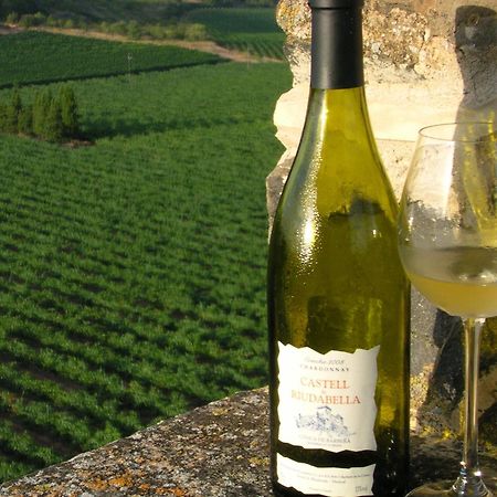 Castell De Riudabella Διαμέρισμα Vimbodi I Poblet Εξωτερικό φωτογραφία