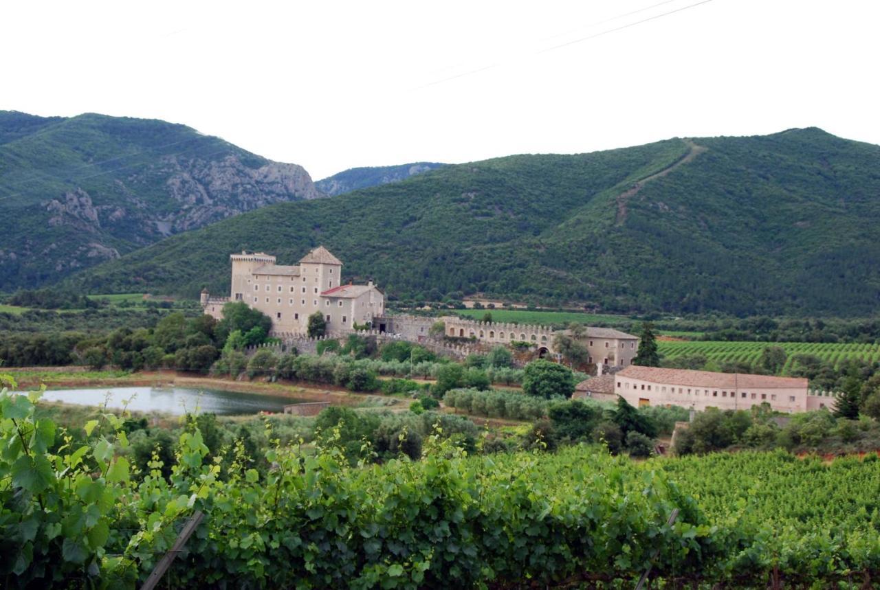 Castell De Riudabella Διαμέρισμα Vimbodi I Poblet Εξωτερικό φωτογραφία
