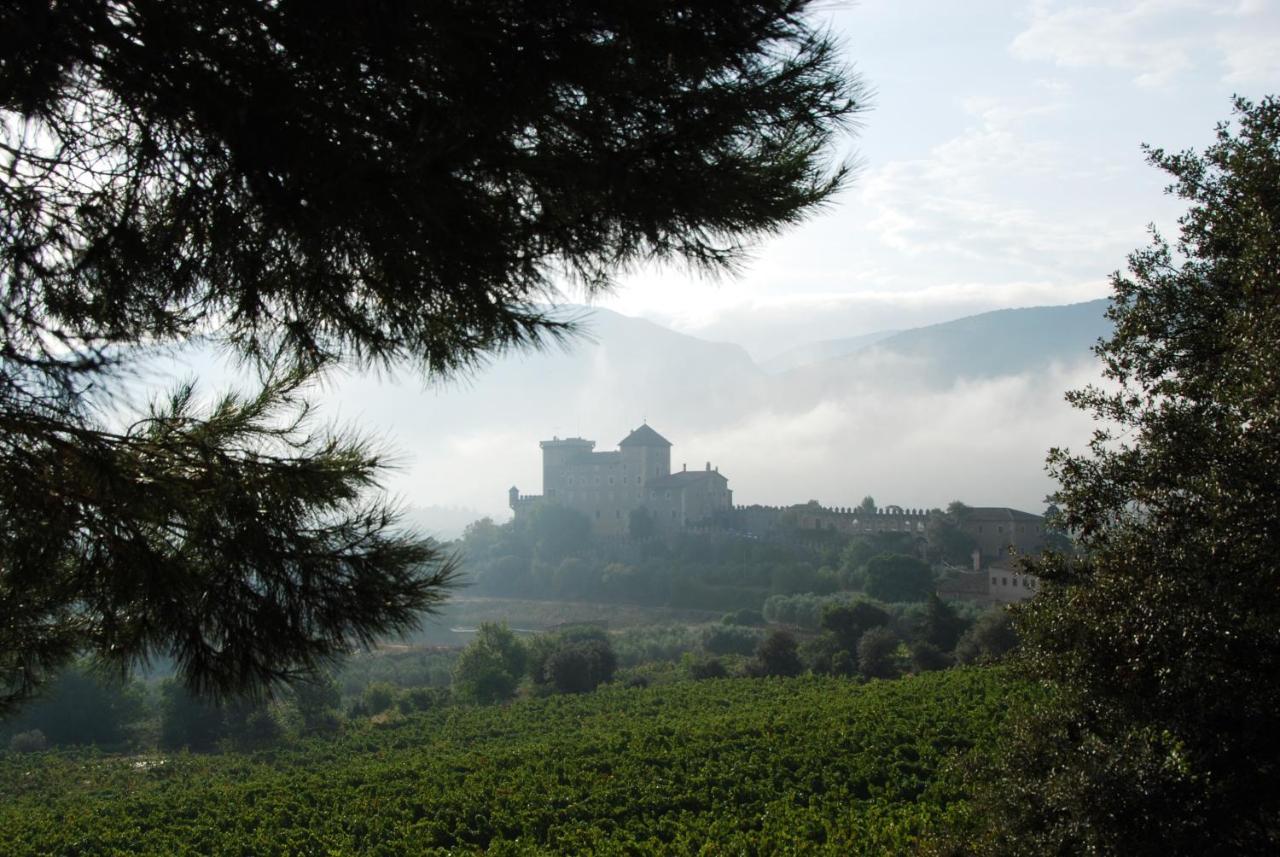 Castell De Riudabella Διαμέρισμα Vimbodi I Poblet Εξωτερικό φωτογραφία