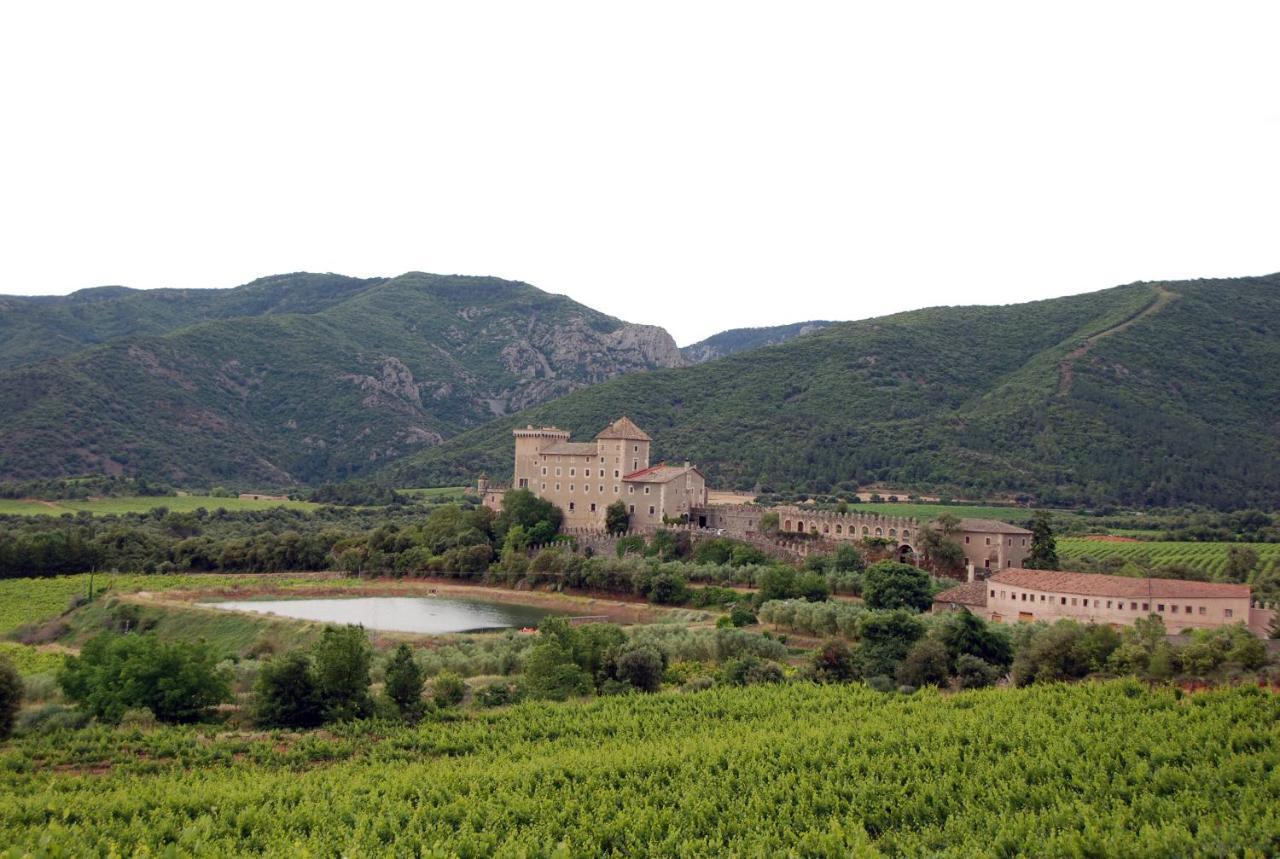 Castell De Riudabella Διαμέρισμα Vimbodi I Poblet Εξωτερικό φωτογραφία