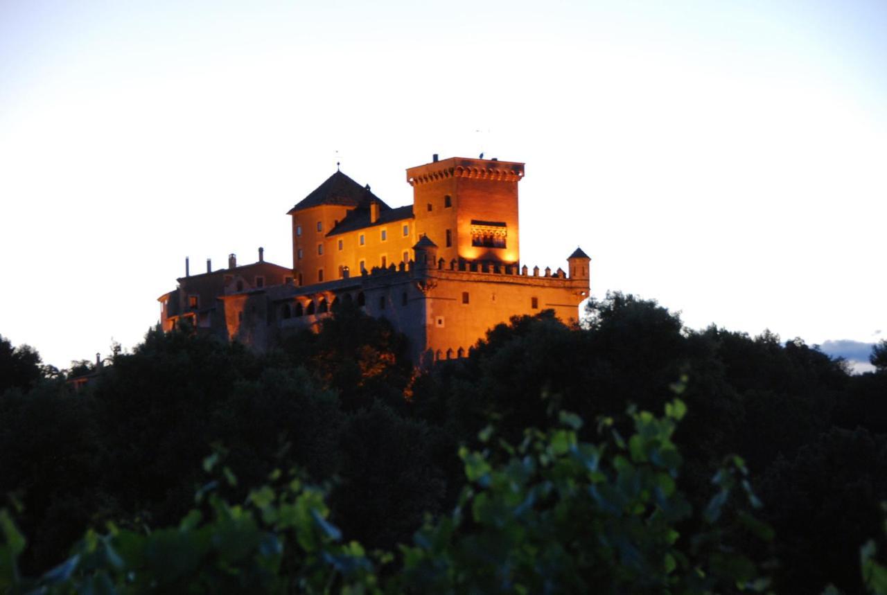 Castell De Riudabella Διαμέρισμα Vimbodi I Poblet Εξωτερικό φωτογραφία