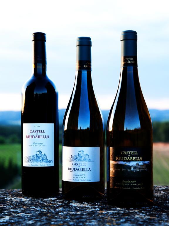 Castell De Riudabella Διαμέρισμα Vimbodi I Poblet Εξωτερικό φωτογραφία