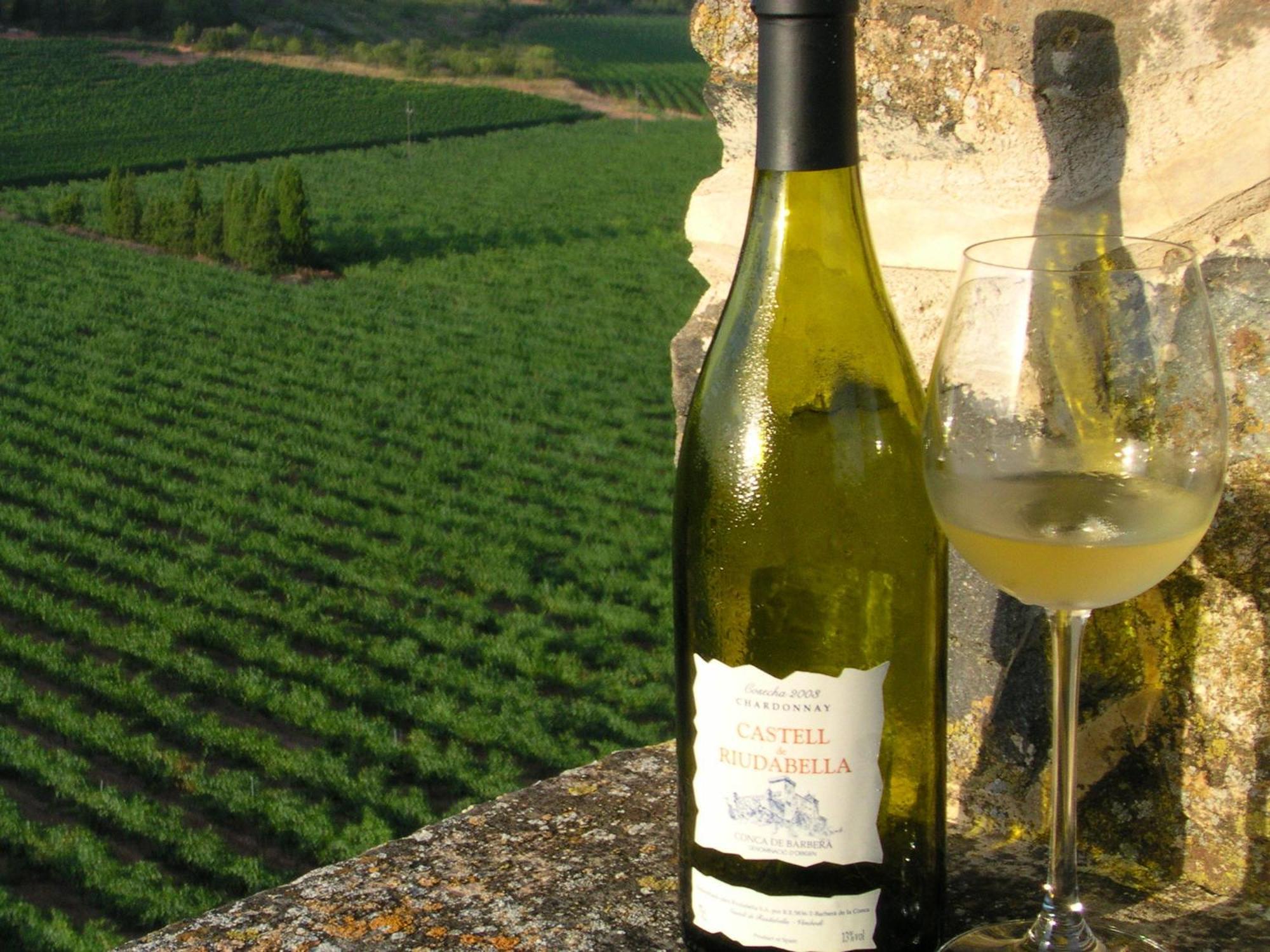 Castell De Riudabella Διαμέρισμα Vimbodi I Poblet Εξωτερικό φωτογραφία