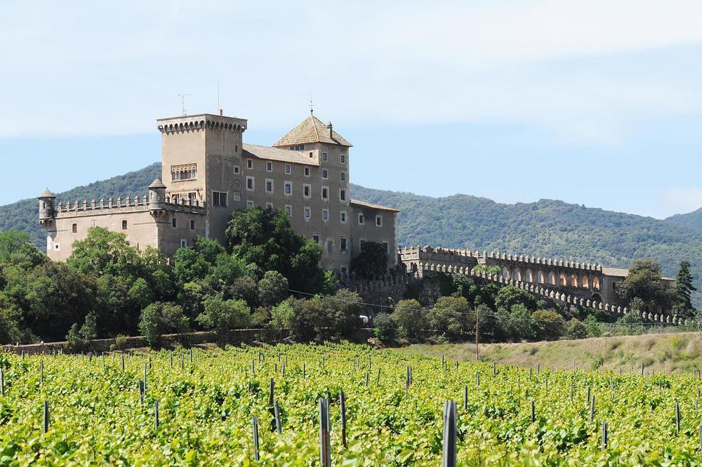 Castell De Riudabella Διαμέρισμα Vimbodi I Poblet Εξωτερικό φωτογραφία