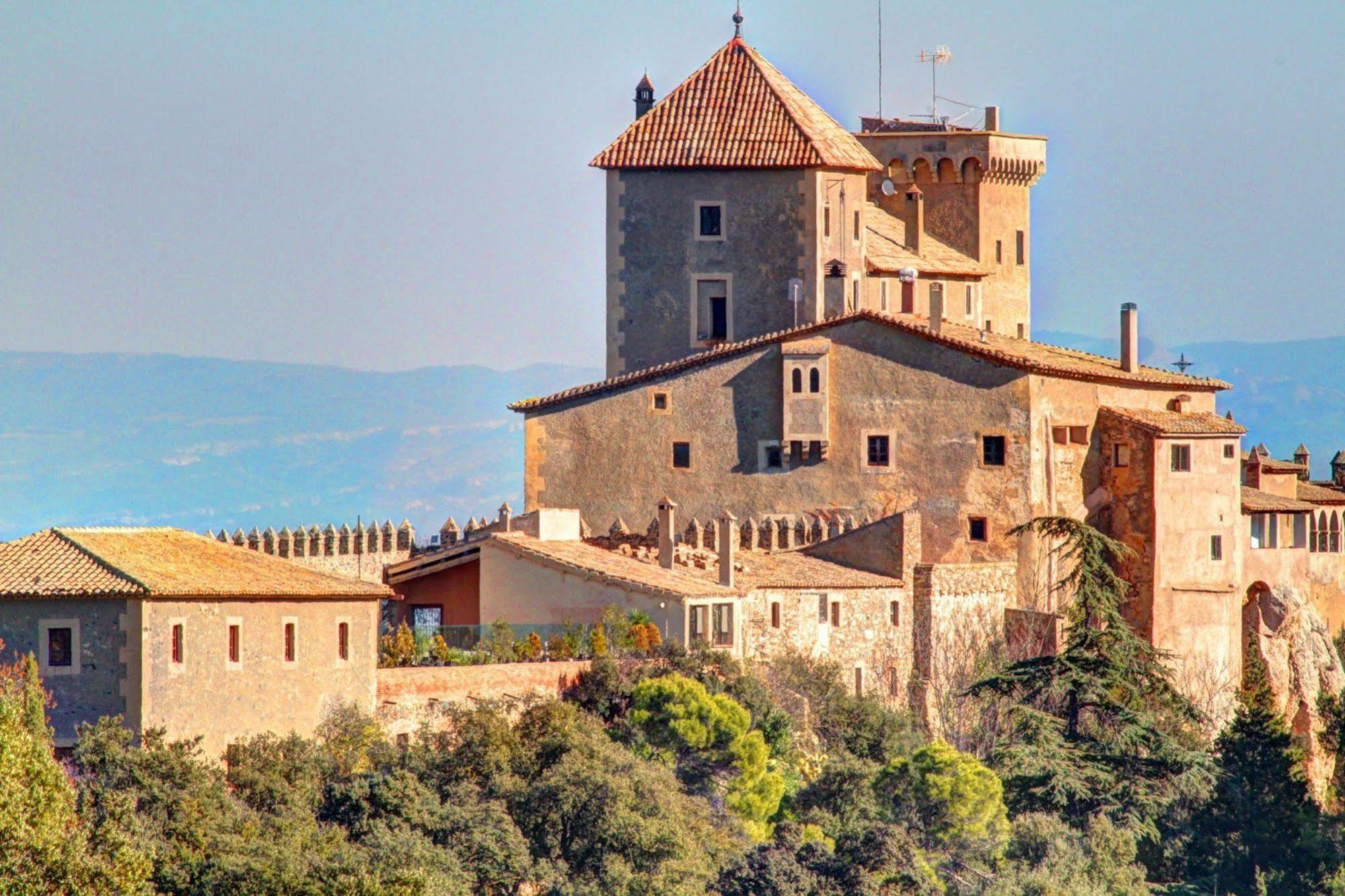 Castell De Riudabella Διαμέρισμα Vimbodi I Poblet Εξωτερικό φωτογραφία